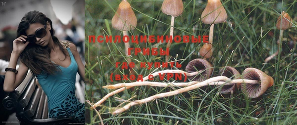 марки lsd Козельск