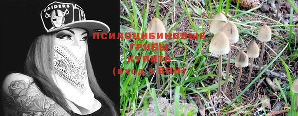 марки lsd Козельск