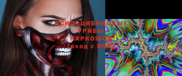 соль курить ск Козловка