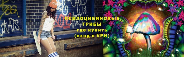 соль курить ск Козловка