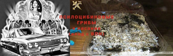 марки lsd Козельск